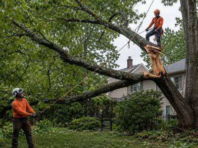 Two-man crew rigging down a limb that failed at the union