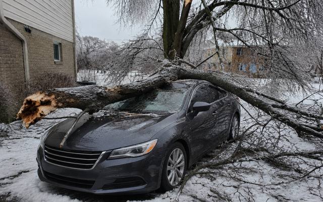 Ice-loaded tree down across a parked car after a freezing rain storm